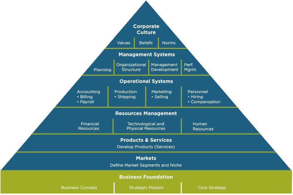 Business Systems And Structure