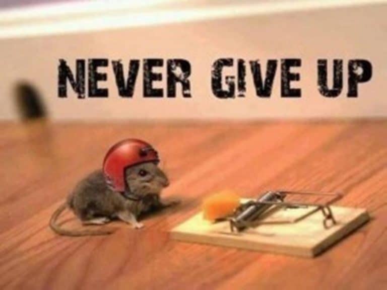 Keep At It, Don’t Quit.