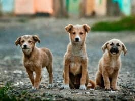 Change Your Circle of Friends If They Don’t Discuss Money Often. ExpertsNg circle of friends