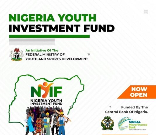 Nigerian Youth Investment Fund (NYIF) How to apply for the NYIF