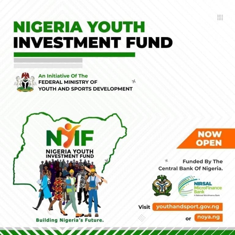 Nigerian Youth Investment Fund (NYIF)
