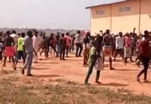 Hoodlums Attacks on Rice Mills Farmers Raise the Alarm over Food Security from 2021 Shemad Rice Mill Yola