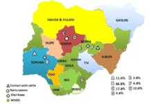 Tribes in Nigeria | A Complete List of Tribes and Ethnic Groups in Nigeria tribes in Nigeria