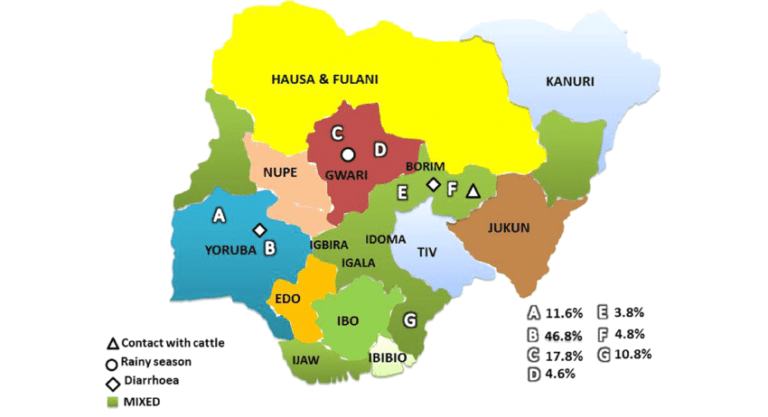 Tribes in Nigeria | A Complete List of Tribes and Ethnic Groups in Nigeria